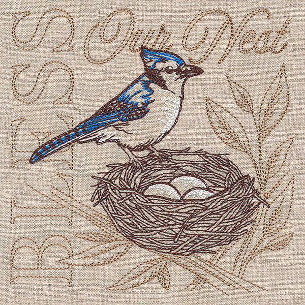 Sweet Blue Jay Medley - Image 7