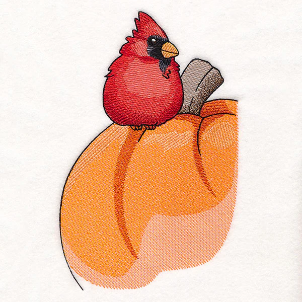 Sweet Cardinal and Pumpkin - Image 5