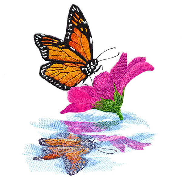Sweet Fluttering Reflections