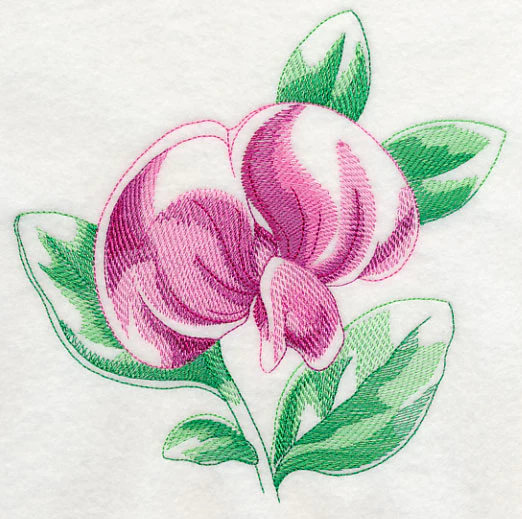 Sweet Pea Beauty - Image 2