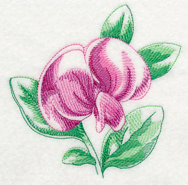 Sweet Pea Beauty - Image 4