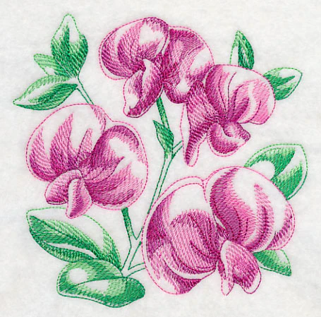 Sweet Pea Sketch - Image 3