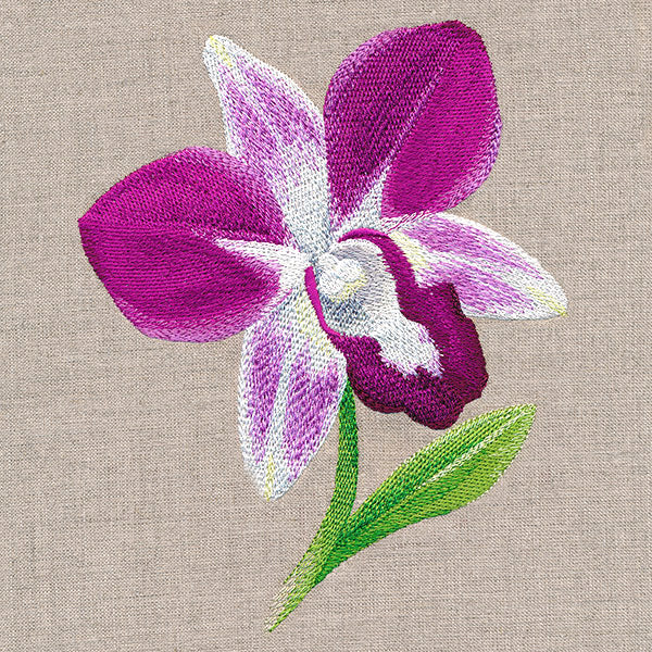 Sweet Purple Orchid - Image 3