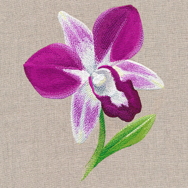 Sweet Purple Orchid - Image 7