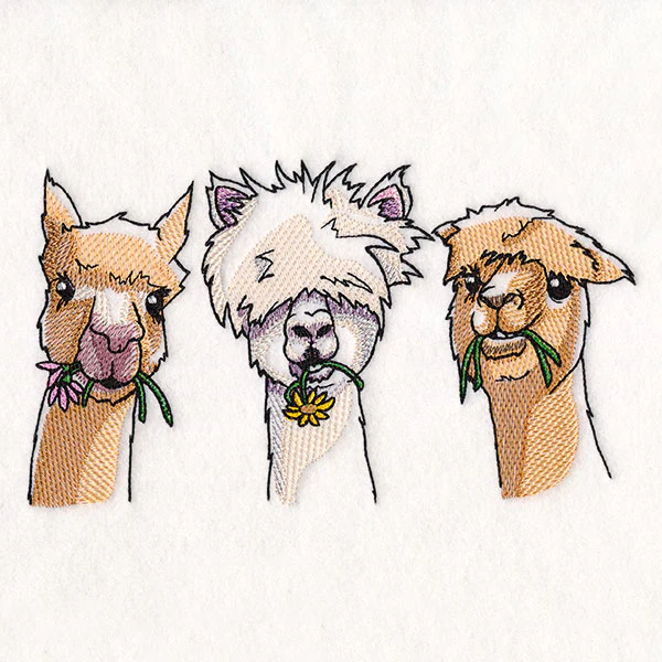 Sweet & Sassy Alpaca Trio - Image 5