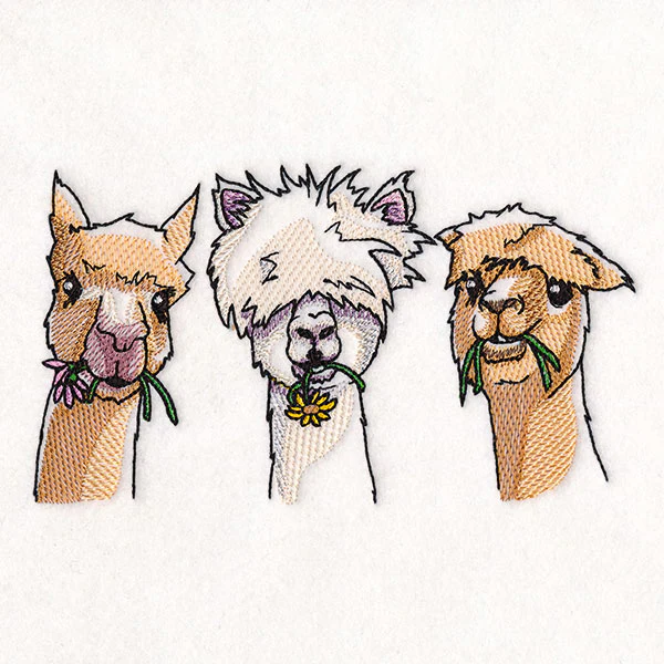 Sweet & Sassy Alpaca Trio - Image 7
