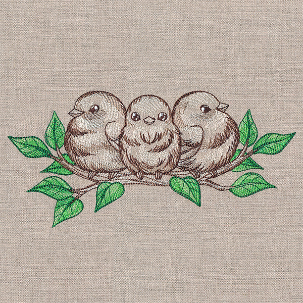 Sweet Tweets Trio - Image 5