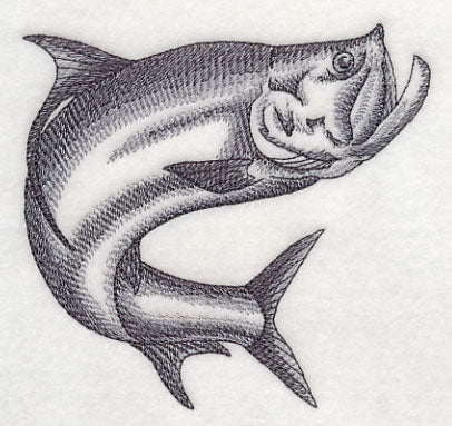 Tarpon Sketch - Image 2