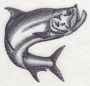 Tarpon Sketch - Image 3