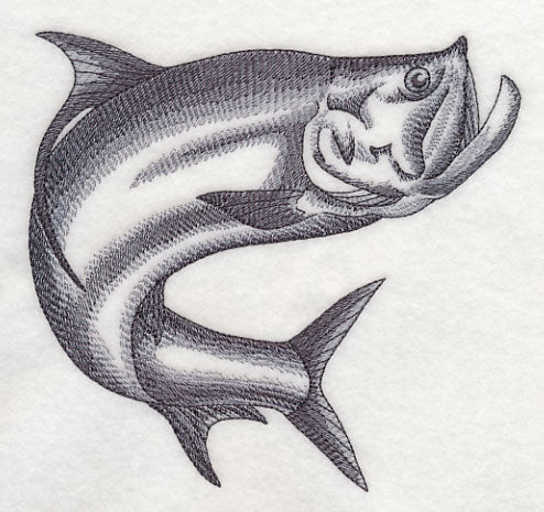 Tarpon Sketch - Image 4