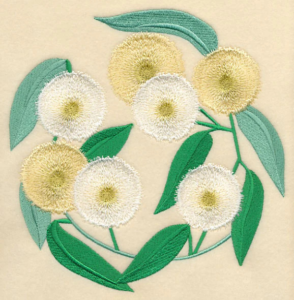 Tasmanian Blue Gum - Image 6