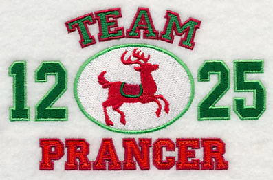 Team Prancer - Image 5