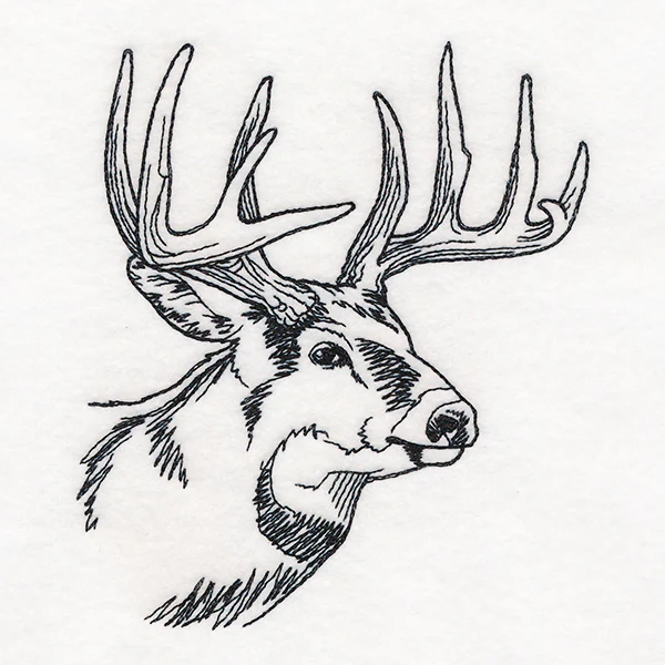 Ten Point Treasure - Image 3