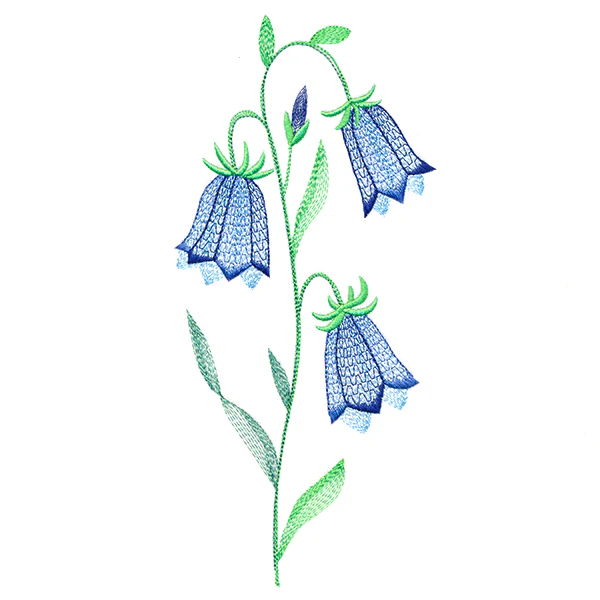 Texture & Bloom - Bluebells - Image 2
