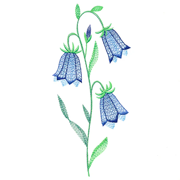 Texture & Bloom - Bluebells - Image 3