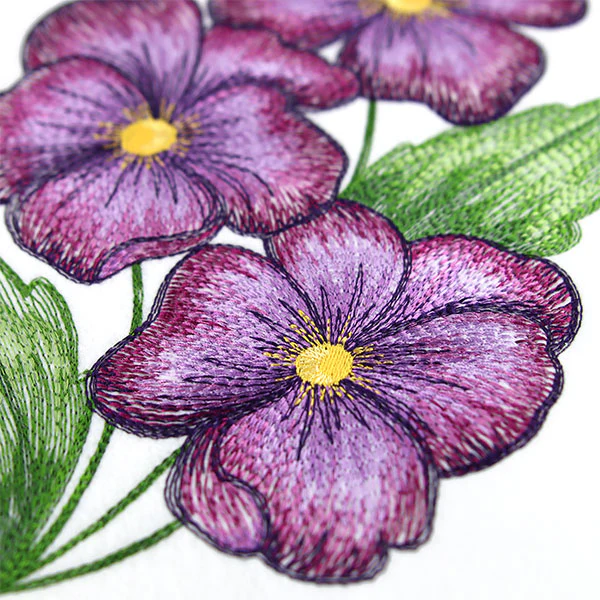 Textured and Lovely African Violets - Image 10