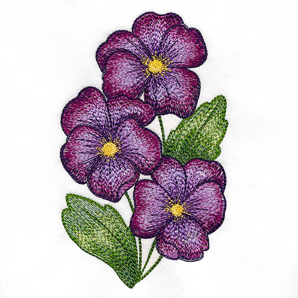 Textured and Lovely African Violets - Image 5
