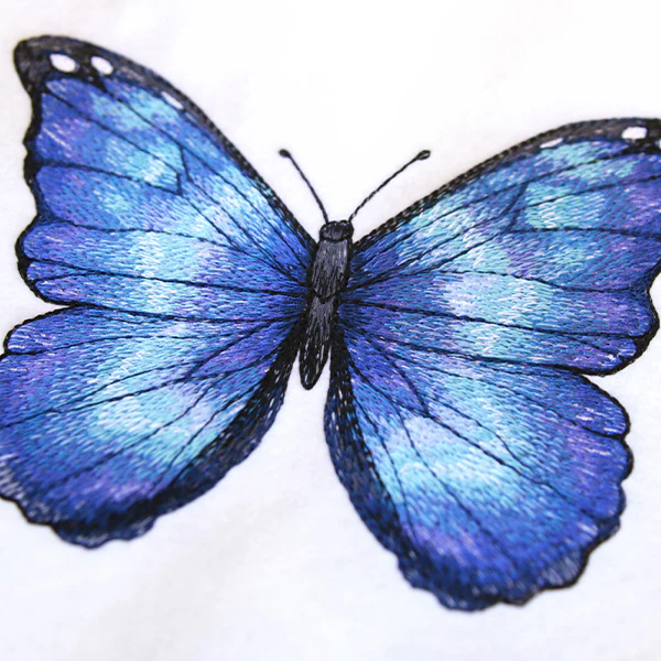 Textured & Lovely Blue Morpho Butterfly - Image 2