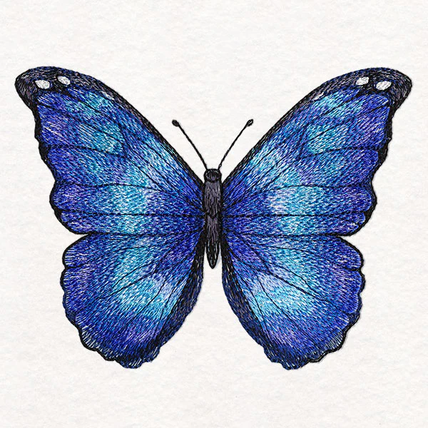 Textured & Lovely Blue Morpho Butterfly - Image 5