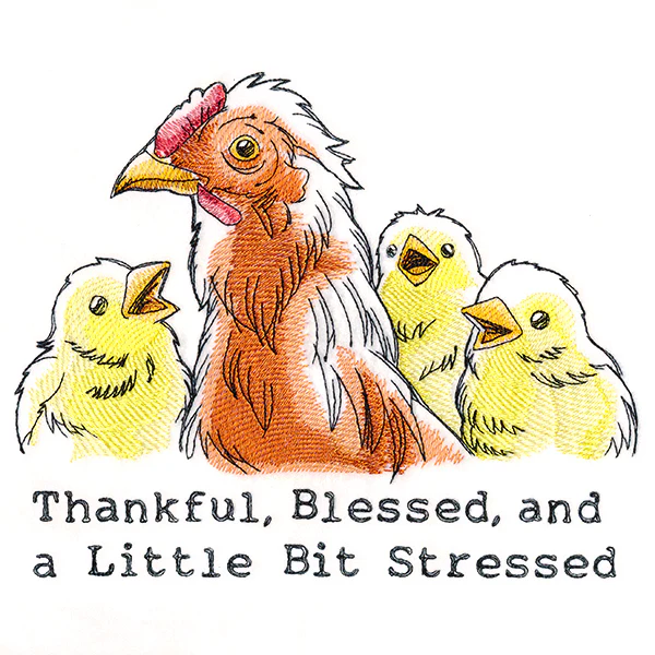 Thankful, Blessed, and a Little Bit Stressed Chickens - Image 5