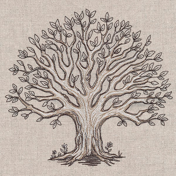 The Family Roots Tree - Image 3