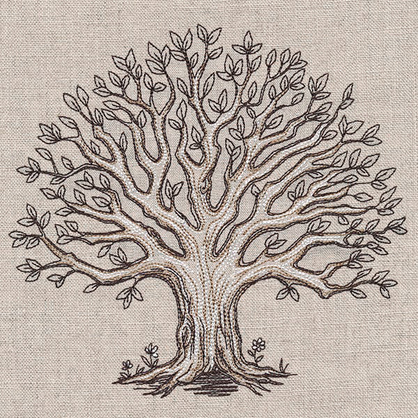 The Family Roots Tree - Image 5