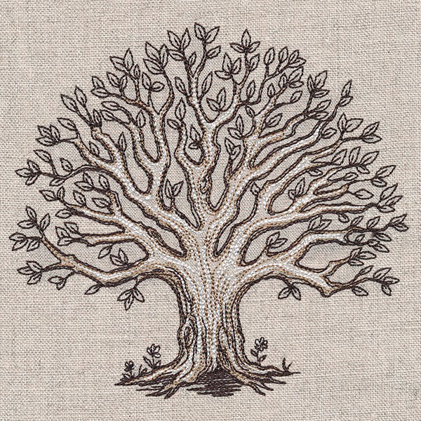 The Family Roots Tree - Image 7