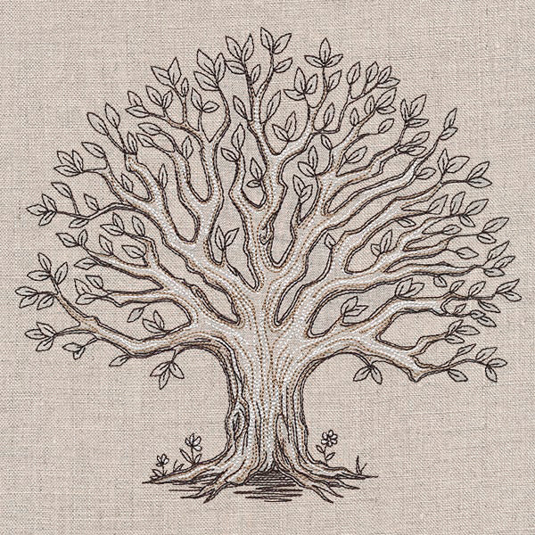 The Family Roots Tree - Image 9