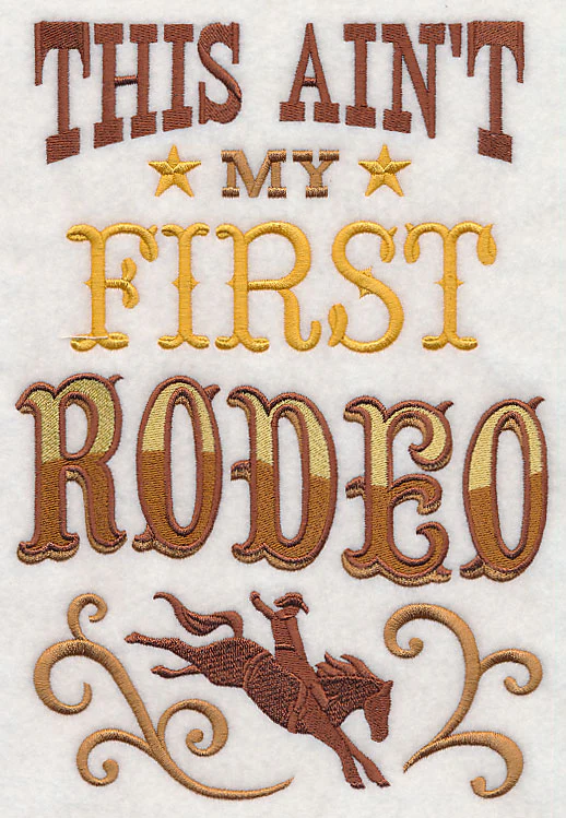 This Ain't My First Rodeo - Image 6