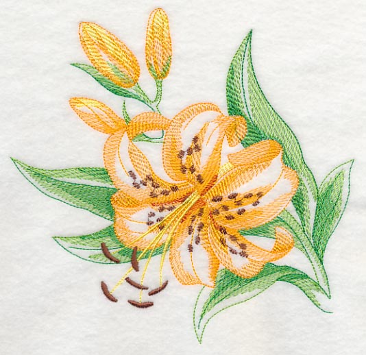 Tiger Lily Beauty - Image 2