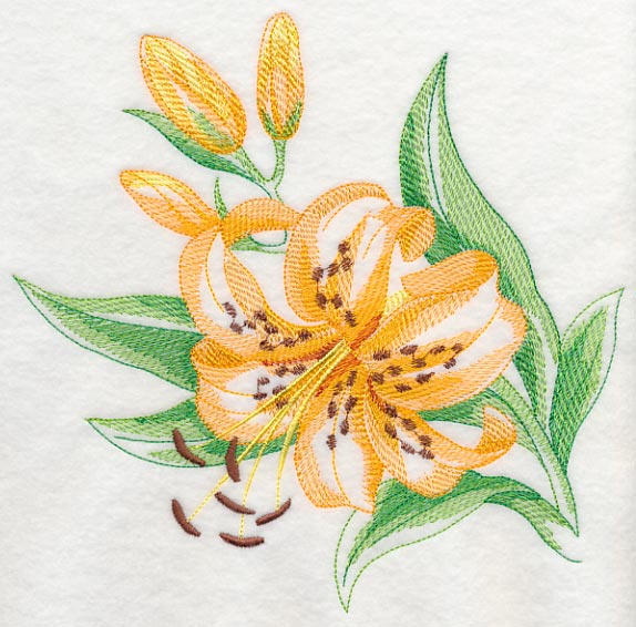 Tiger Lily Beauty - Image 6