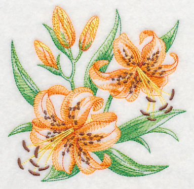 Tiger Lily Sketch - Image 4