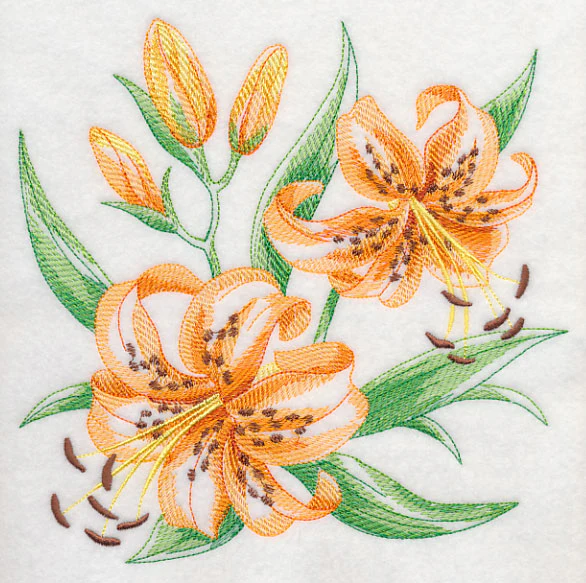 Tiger Lily Sketch - Image 6