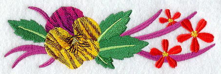 Tiger Pansy Border - Image 2
