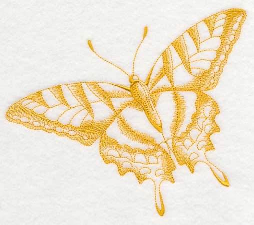 Tiger Swallowtail Butterfly (Toile) - Image 2