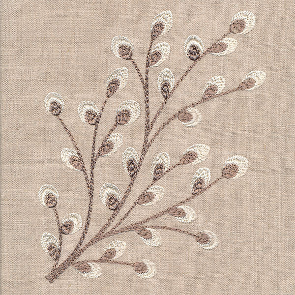 Time for Texture Pussywillow - Image 3