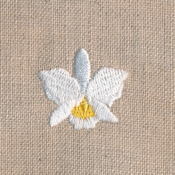 Tiny Orchid (Miniature)