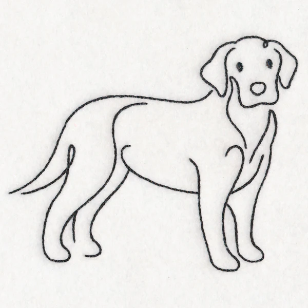 Top of the Line - Labrador - Image 4