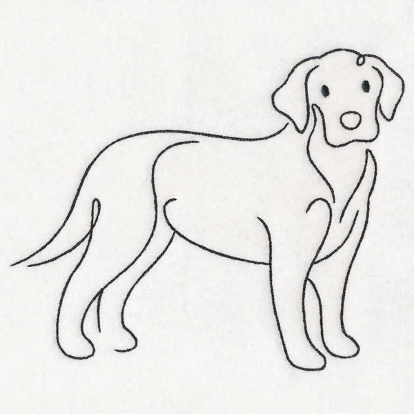 Top of the Line - Labrador - Image 6