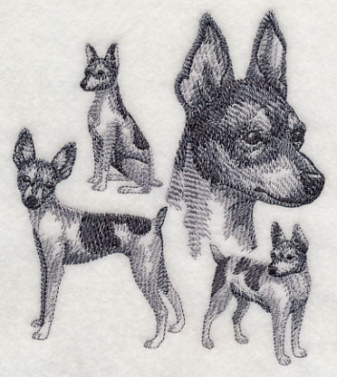 Toy Fox Terrier Sketch - Image 4