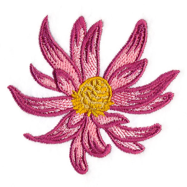 Tropical Blooms - Conebush - Image 2