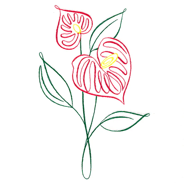 Tropical Calligraphy in Bloom - Anthurium - Image 2