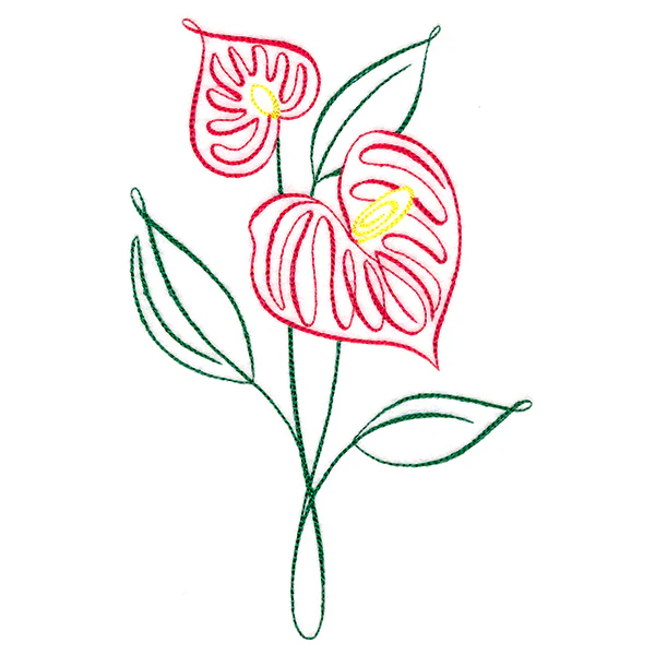 Tropical Calligraphy in Bloom - Anthurium - Image 4