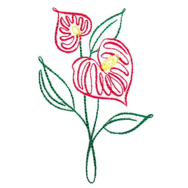 Tropical Calligraphy in Bloom - Anthurium - Image 5