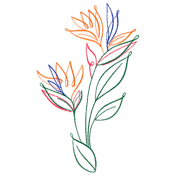 Tropical Calligraphy in Bloom - Bird of Paradise - Image 2