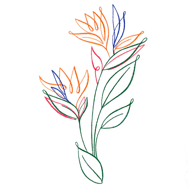 Tropical Calligraphy in Bloom - Bird of Paradise - Image 6