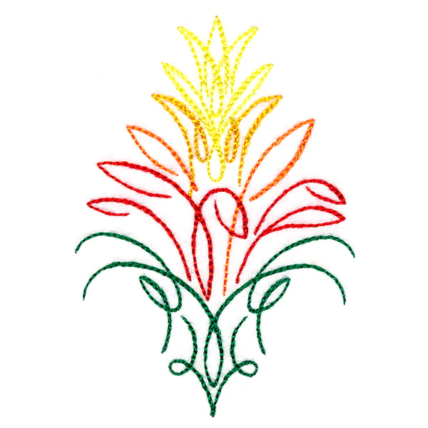 Tropical Calligraphy in Bloom - Bromeliad - Image 5