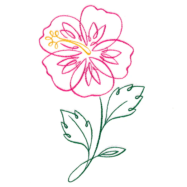 Tropical Calligraphy in Bloom - Hibiscus - Image 4