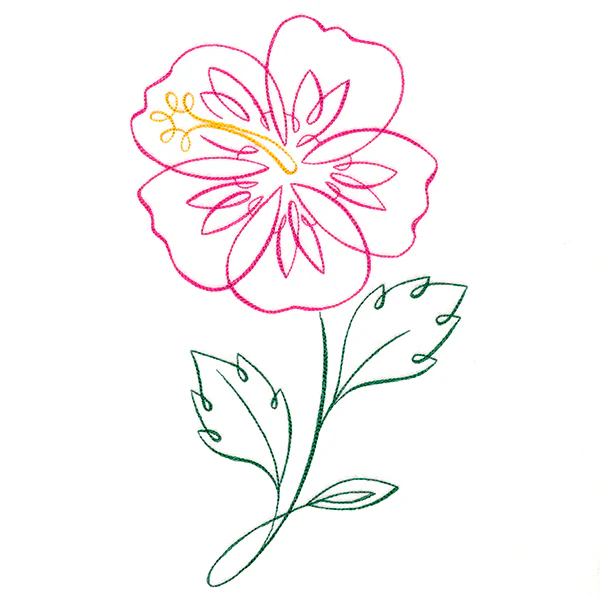 Tropical Calligraphy in Bloom - Hibiscus - Image 6
