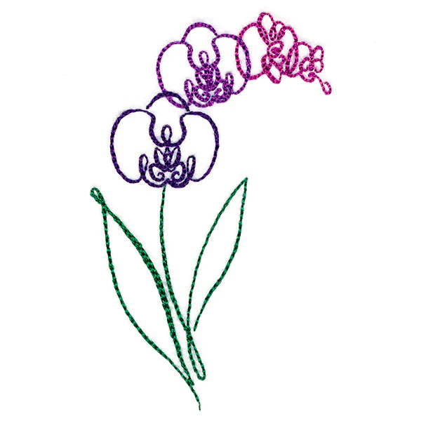 Tropical Calligraphy in Bloom - Orchid - Image 5
